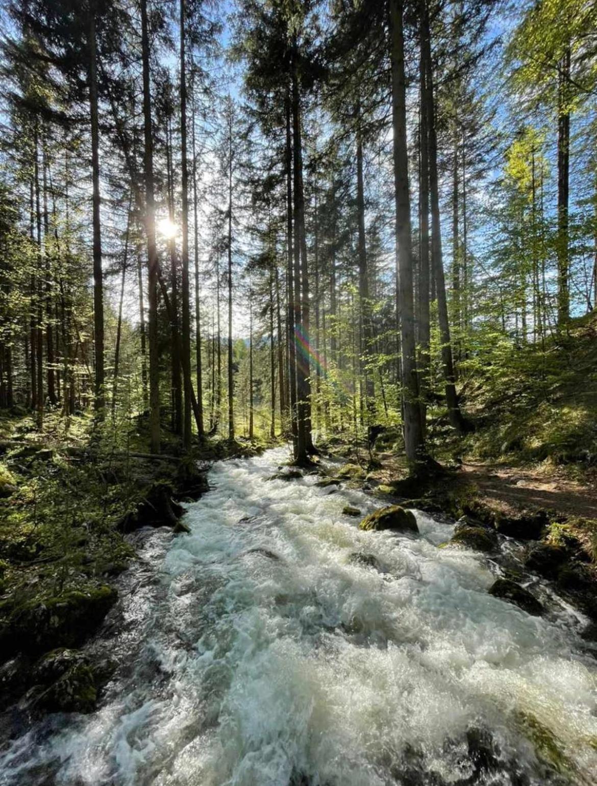Ferienhaus Romantika Bad Aussee Zewnętrze zdjęcie